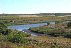 Image of Fresh Kills Park site