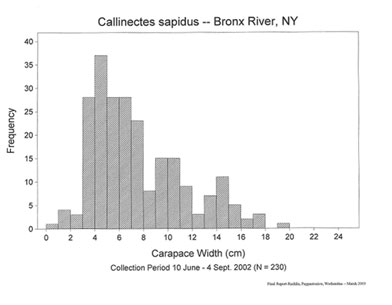 Blue crab length frequency analysis