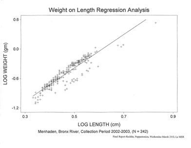 Mendahen weight on length regression