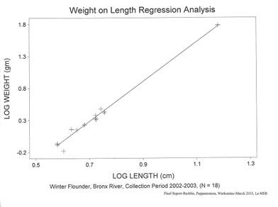 Winter flounder weight on length regression