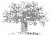 Nyc Parks Logo