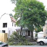 Limb fallen from tree