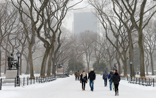 The Mall in Central Park