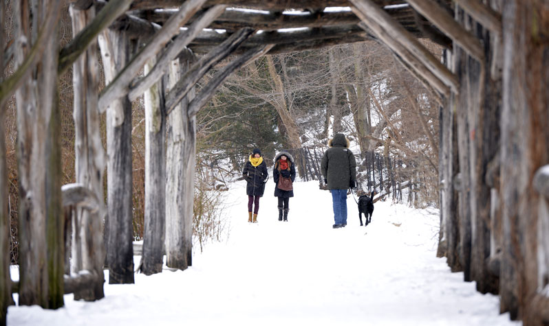 The best winter date ideas in NYC