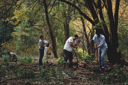 Photograph of a forest restoration team working in Northern Manhattan Parks