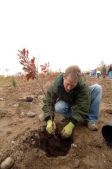 MillionTreesNYC Fall Volunteer Planting Day