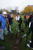 MillionTreesNYC Fall Volunteer Planting Day