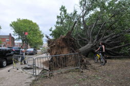 September 2010 Storm Damage