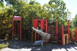 Maria Hernandez Park Storm Damage