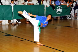 Each One Teach One: Martial Arts Tournament