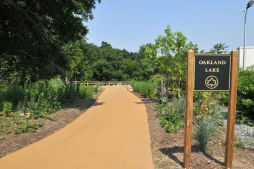 Oakland Lake Park Restoration