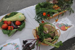 El Flamboyan Community Garden Harvest Fair