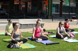 Shape Up NYC - Yoga at West Harlem Piers Park