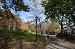 Fall 2012 in Historic Harlem Parks