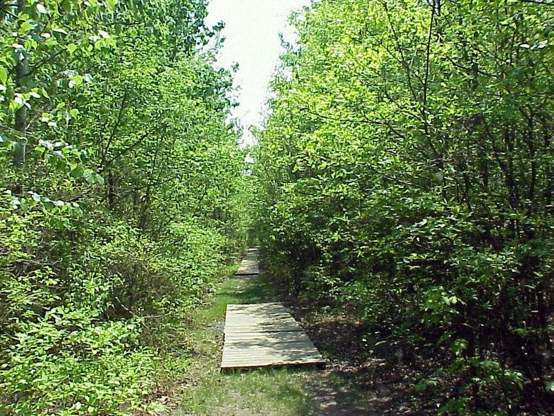 Blue Heron Park Staten Island Ny Blue Heron Park Staten Island Ny