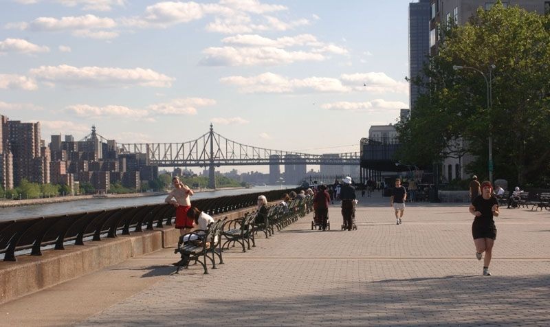 carl schultz park