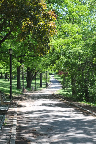 silverlake park silver lake park images nyc parks silverlake park silver lake park images nyc parks