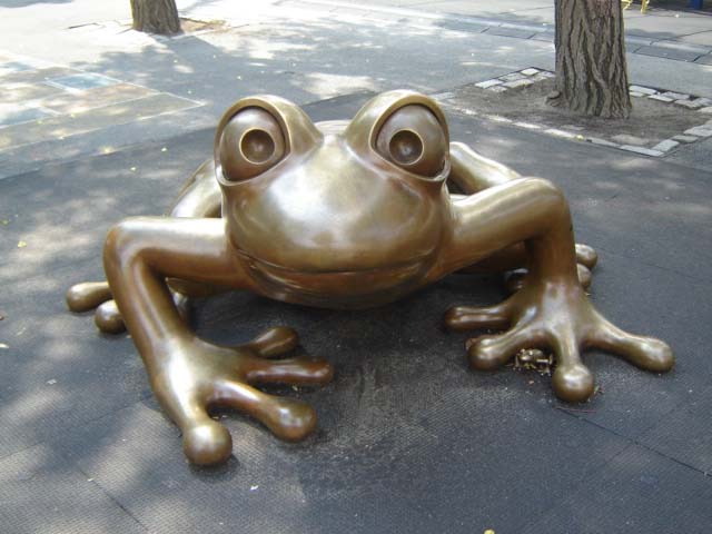Abc Playground