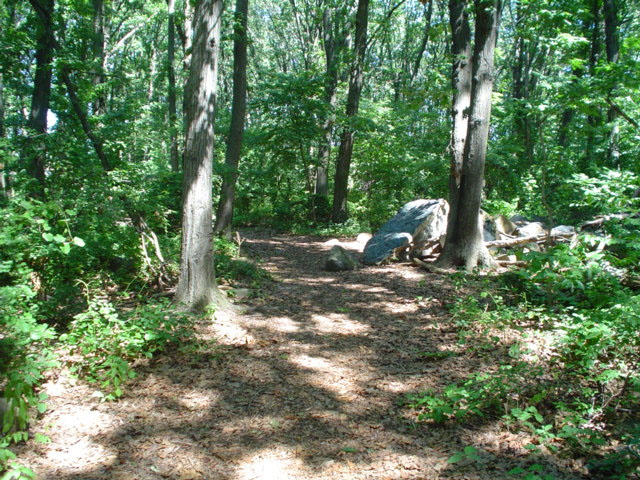 Northerleigh Park Staten Island Northerleigh Park Staten Island