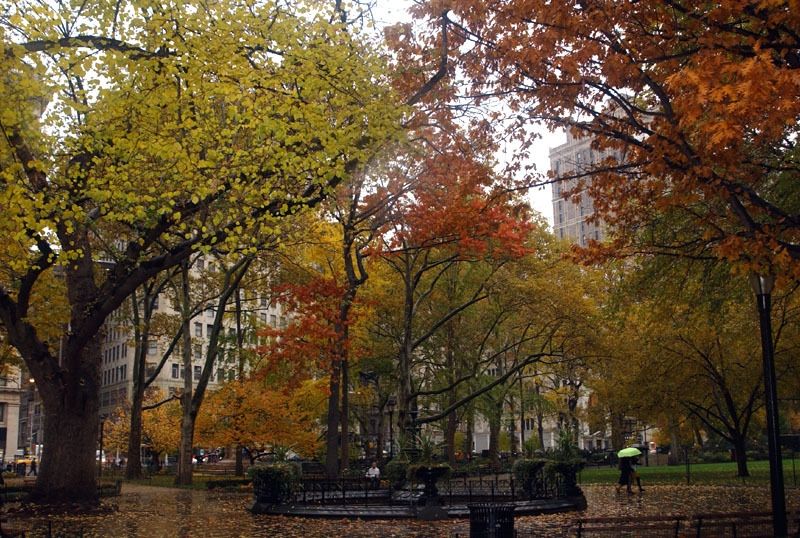 Madison Square Park NYC Parks