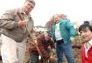 MillionTreesNYC planting in Kissena Corridor Park
