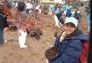 MillionTreesNYC planting in Kissena Corridor Park