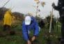 MillionTreesNYC planting with New York Knicks players at Pelham Parkway