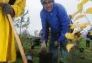 Deputy Commissioner Robert Garafola plants