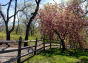 Conference House Park