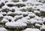 Riverside Park Snow Day