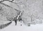 Riverside Park Snow Day
