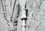 Riverside Park Snow Day