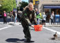 Why Did the Ducks the Cross the Street?