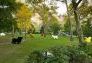 Sheep Cow Deer Dog Chicken Cat Goat (1997), a group of painted
wooden animals, view 1