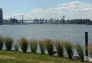 WNYC Transmitter Park