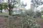 Franz Sigel Park