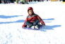 Snow Day at Crotona Park
