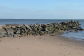 Cedar Grove Beach After the Storm