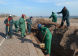 Repairing Midland Beach After the Storm