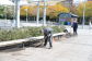 Volunteers at Hudson River Park