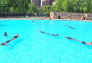 Senior Swim Kick-off 2012