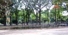 image of Martin's Field circa 2005