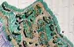 Illustration of Soundview Park, Links to project description