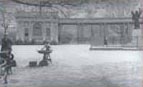 Photo of McGolrick Shelter Pavilion