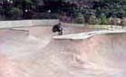 Illustration of Owl's Head Park Millennium Skate Park