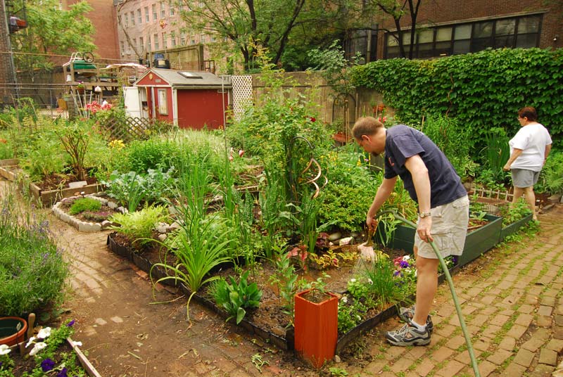 Community Gardens And How To Start One 101 Guide