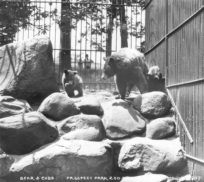 central park zoo new york. Introduction middot; Central Park