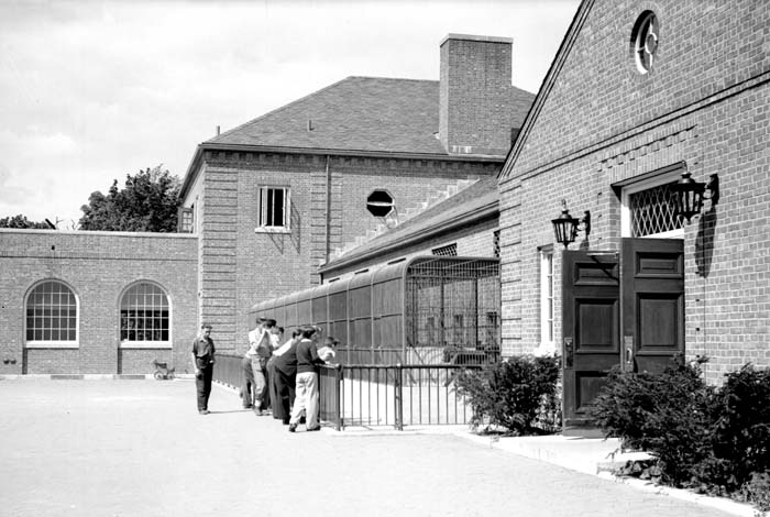 central park zoo nyc. Introduction middot; Central Park