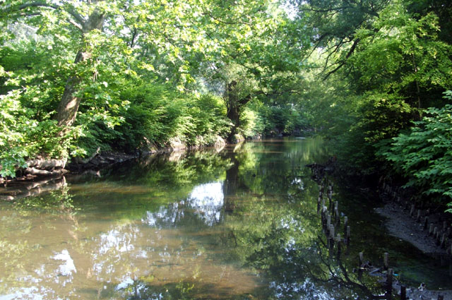 Park Water
