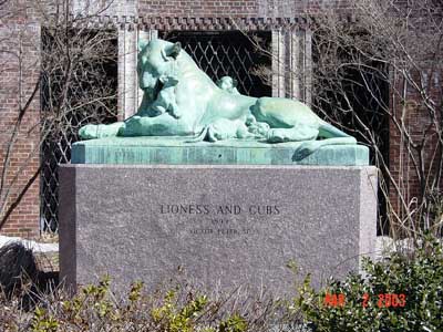Photo of the Lioness and Cubs Statue in Prospect Park Brooklyn